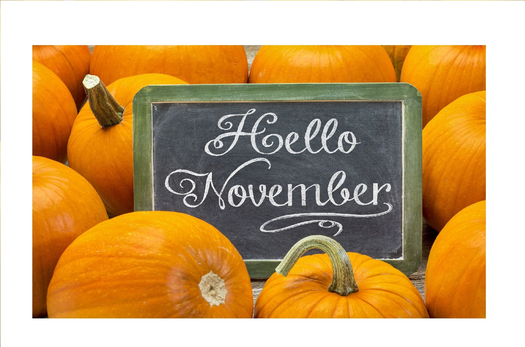 Hello November!